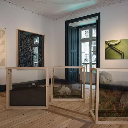 酒店 领事住宿加早餐旅馆 Lisboa